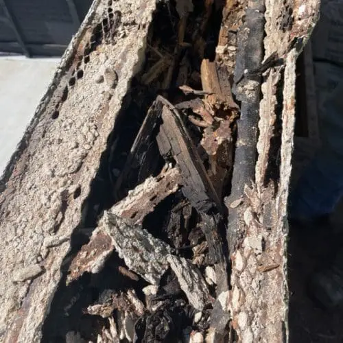 TAG Roofing Commercial Gallery