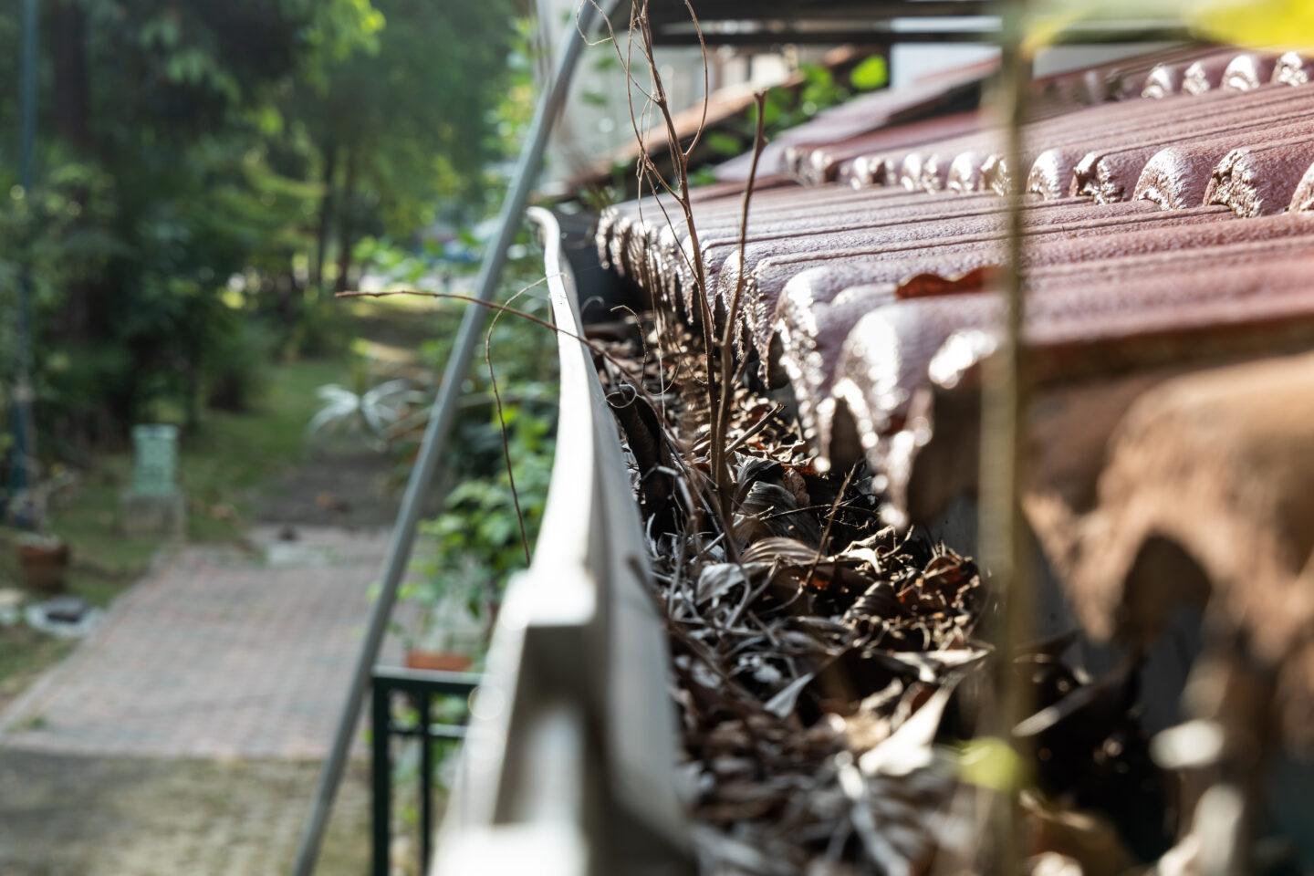 Clogged Gutter System